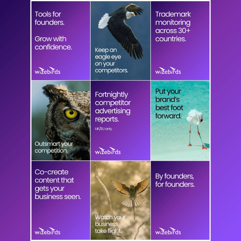 Track live competitor ads
